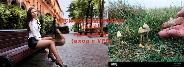 дмт Алексеевка