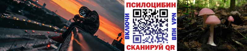 Псилоцибиновые грибы ЛСД  Алексеевка 