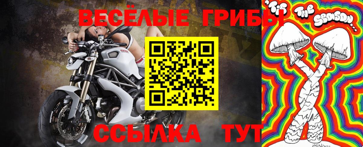 Галлюциногенные грибы MAGIC MUSHROOMS  Вход с VPN  Алексеевка 